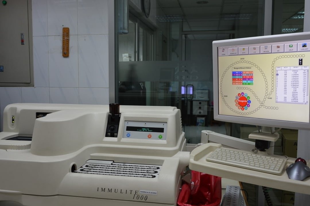 lab